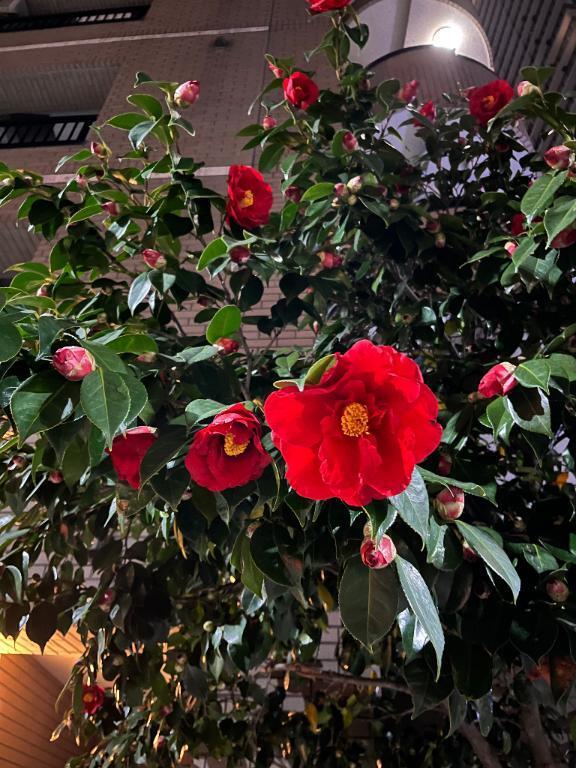 ありがとうございました｜写メ日記｜桜井（さくらい）｜鶯谷 人妻デリヘル 素人妻専門店　ミセス・グランデ