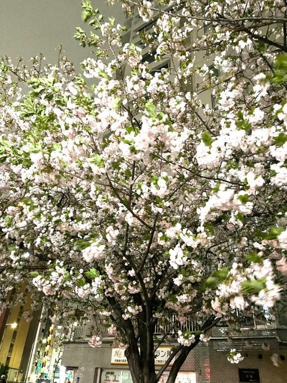 ありがとうございました｜写メ日記｜桜井（さくらい）｜鶯谷 人妻デリヘル 素人妻専門店　ミセス・グランデ