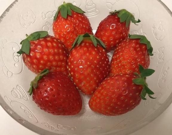 明日と明後日🐈️🐾｜写メ日記｜小春（こはる）｜鶯谷 人妻デリヘル 素人妻専門店　ミセス・グランデ