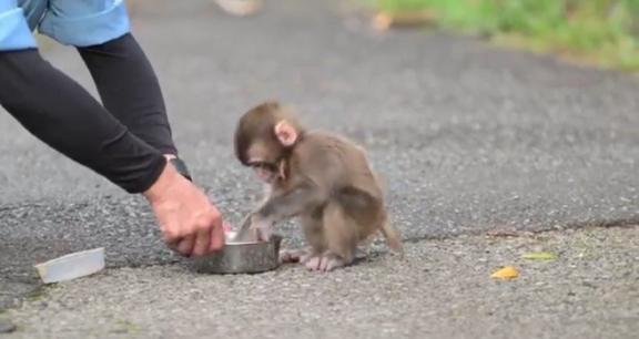 お礼💌｜写メ日記｜沢田（さわだ）｜鶯谷 人妻デリヘル 素人妻専門店　ミセス・グランデ