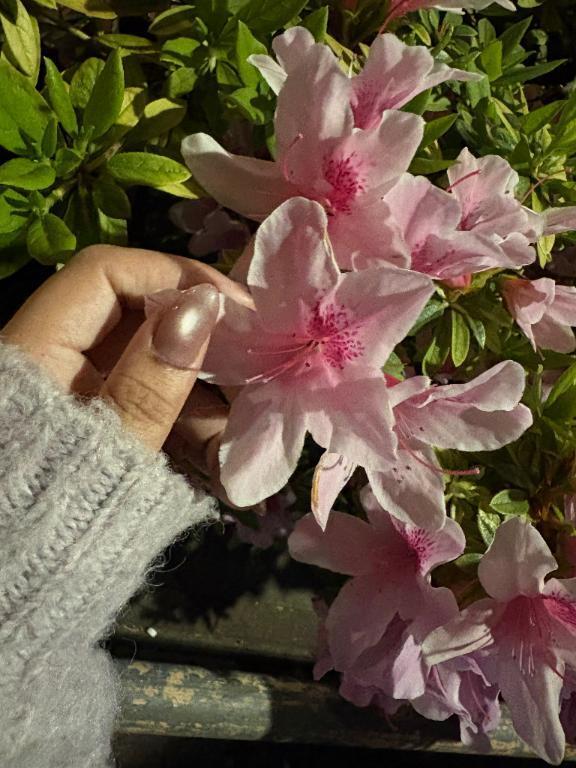 水曜日待ってるね♡｜写メ日記｜紗彩（さあや）｜鶯谷 人妻デリヘル 素人妻専門店　ミセス・グランデ