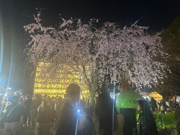 こんばんは！｜写メ日記｜宮本（みやもと）｜鶯谷 人妻デリヘル 素人妻専門店　ミセス・グランデ