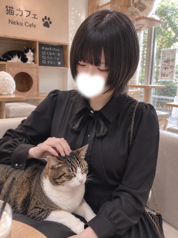 出勤予定🤍｜写メ日記｜千歳（ちとせ）｜鶯谷 人妻デリヘル 素人妻専門店　ミセス・グランデ