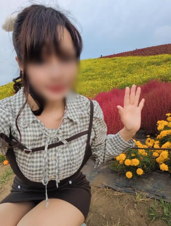 コキア撮影📷️