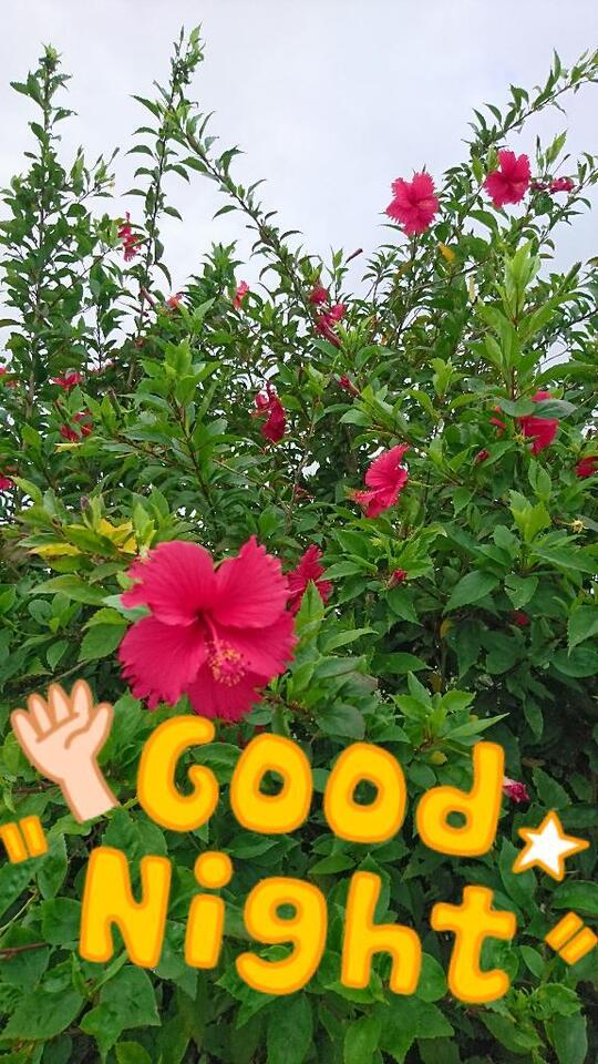 明日の私が心配です🤭｜写メ日記｜芹（せり）｜鶯谷 人妻デリヘル 素人妻専門店　ミセス・グランデ