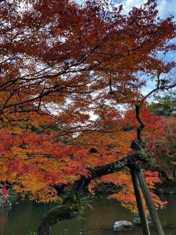 赤や黄色だけが秋ではない