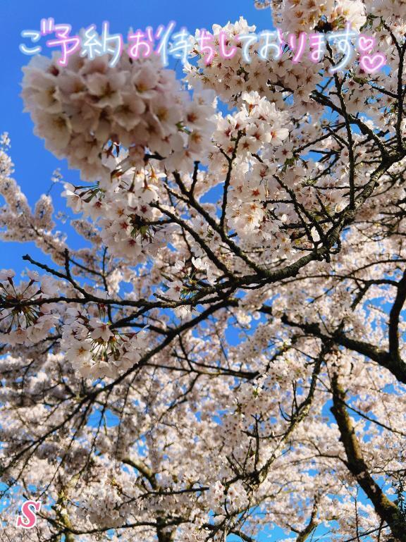 出勤予定。｜写メ日記｜清水（しみず）｜鶯谷 人妻デリヘル 素人妻専門店　ミセス・グランデ