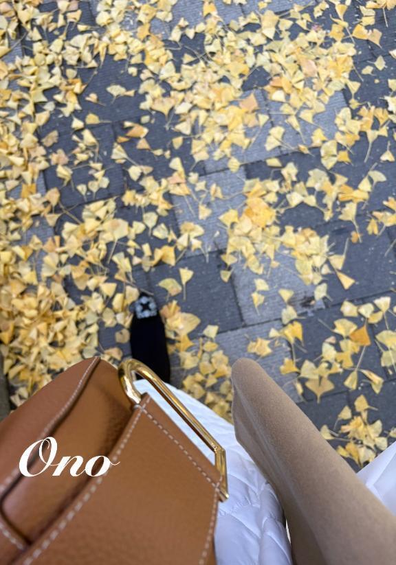 都心の紅葉🍁｜写メ日記｜小野（おの）｜鶯谷 人妻デリヘル 素人妻専門店　ミセス・グランデ