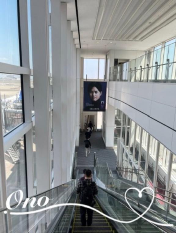 春の陽射し✈️