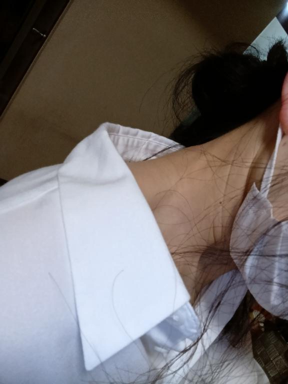 今日は