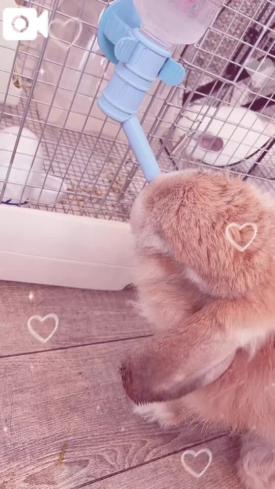 醤油とソースとケチャップとマヨ…｜写メ日記｜八重はなの｜新宿 出張エステ 大人のエッチなエステ
