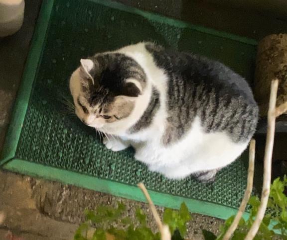 待機｜写メ日記｜桜庭ゆりあ｜新宿 出張エステ 大人のエッチなエステ