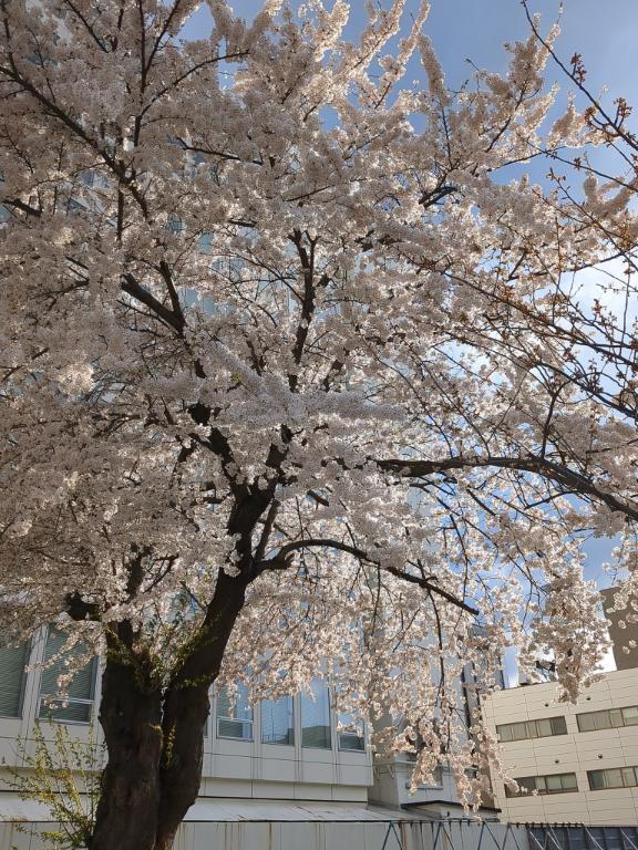待機してます｜写メ日記｜白川れんか｜新宿 出張エステ 大人のエッチなエステ