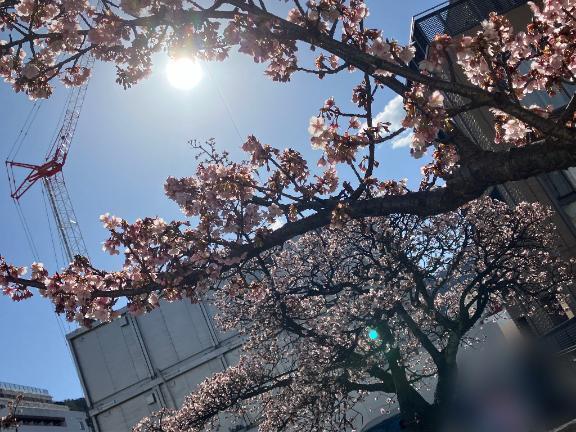 ありがとうございました｜写メ日記｜古川まい｜新宿 出張エステ 大人のエッチなエステ