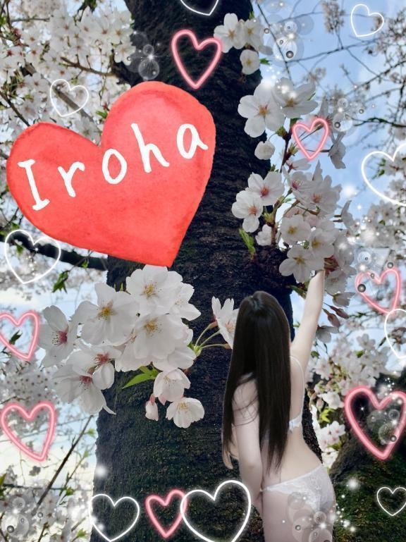 お礼です｜写メ日記｜篠咲いろは｜新宿 出張エステ 大人のエッチなエステ