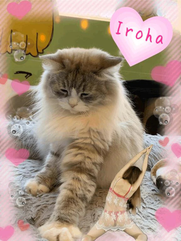 ありがとう♡｜写メ日記｜篠咲いろは｜新宿 出張エステ 大人のエッチなエステ