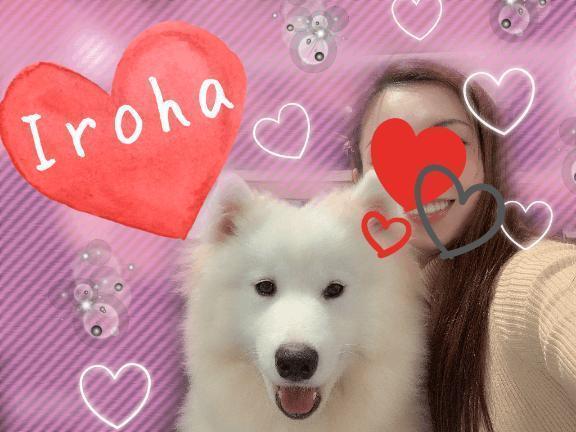 お礼｜写メ日記｜篠咲いろは｜新宿 出張エステ 大人のエッチなエステ