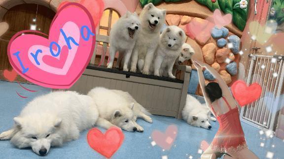 朝から大胆な気分❤︎❤︎