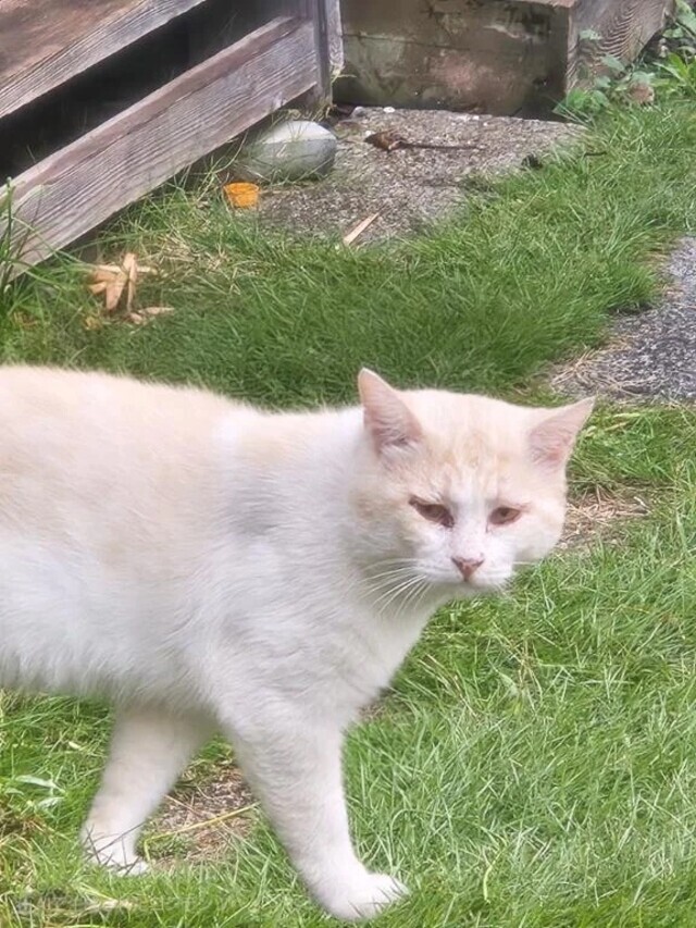 🐱🐱｜写メ日記｜桂木みずな｜新宿 出張エステ 大人のエッチなエステ