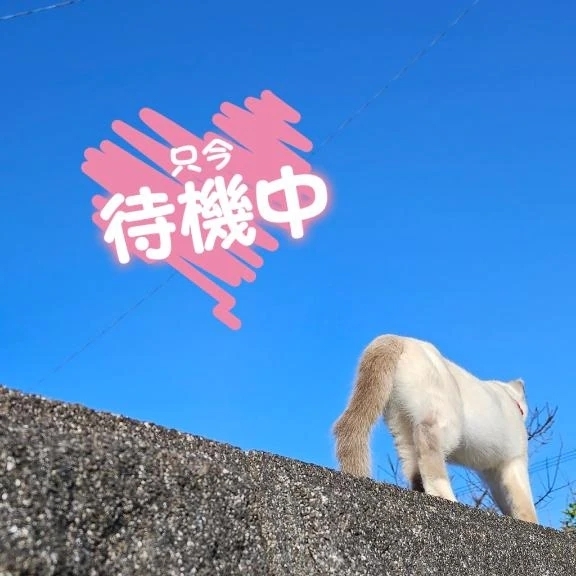 にゃんこのお尻🐱｜写メ日記｜桂木みずな｜新宿 出張エステ 大人のエッチなエステ