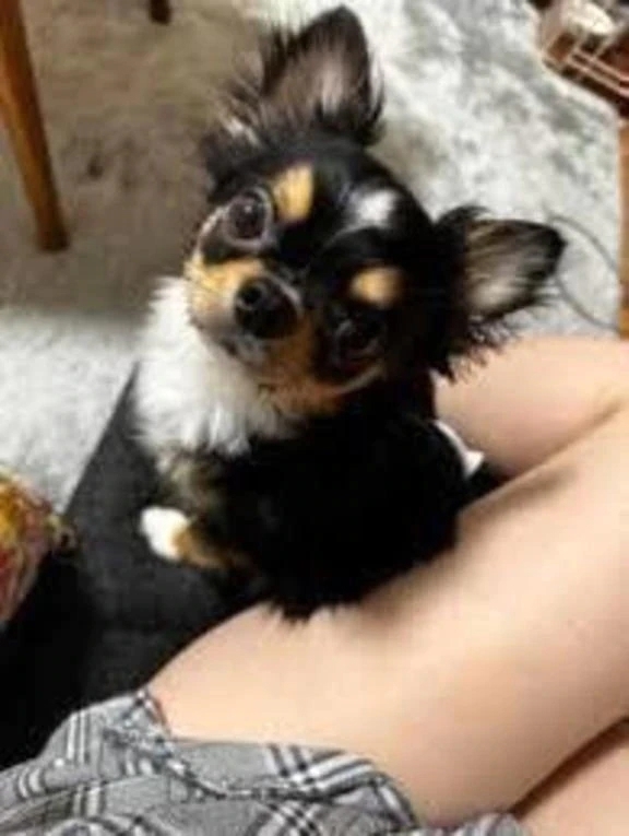 お礼♡｜写メ日記｜藤原ちさ｜新宿 出張エステ 大人のエッチなエステ