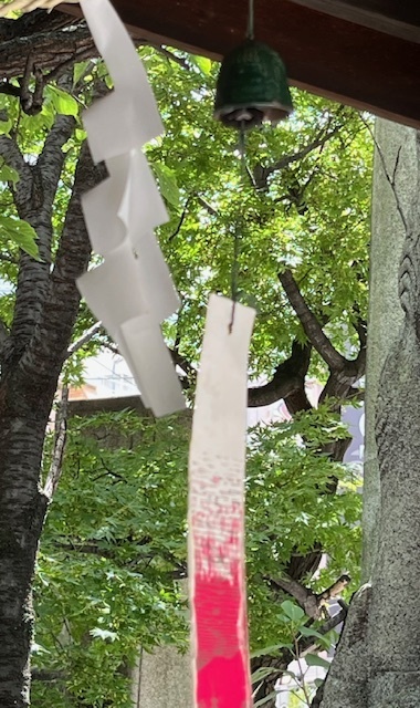 酷暑が続きますね🥵｜写メ日記｜新人・はずき｜鶯谷 人妻デリヘル 人妻花かんざし