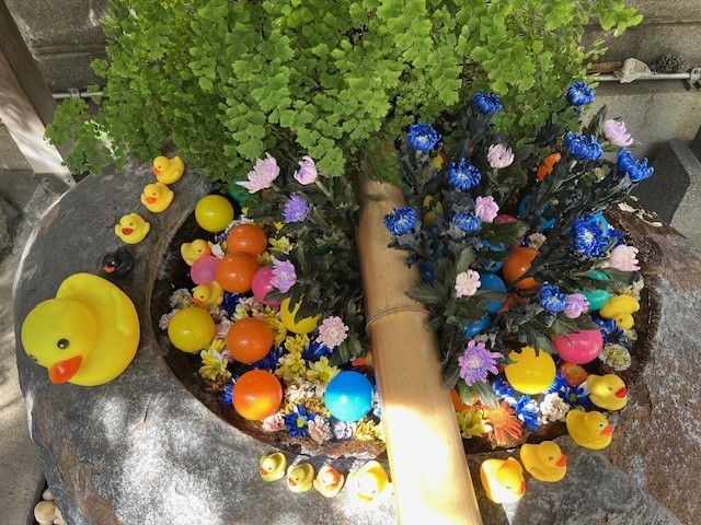 ん？｜写メ日記｜新人・はずき｜鶯谷 人妻デリヘル 人妻花かんざし