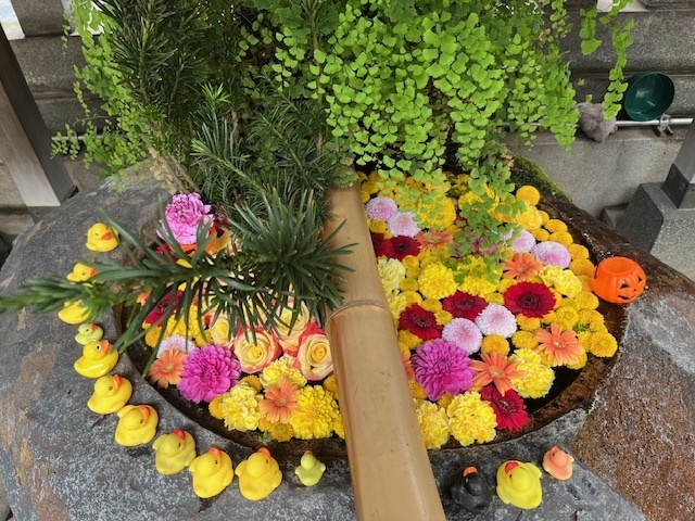 月日が経つのが早いなぁ😓｜写メ日記｜新人・はずき｜鶯谷 人妻デリヘル 人妻花かんざし