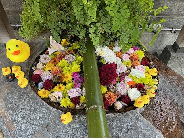 おはようございます。｜写メ日記｜新人・はずき｜鶯谷 人妻デリヘル 人妻花かんざし