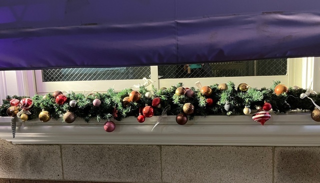 今日は23日｜写メ日記｜新人・はずき｜鶯谷 人妻デリヘル 人妻花かんざし