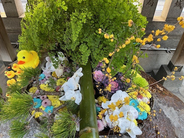 晴天☀️｜写メ日記｜新人・はずき｜鶯谷 人妻デリヘル 人妻花かんざし