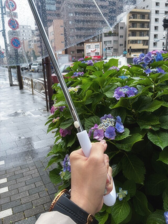 無事に過ごしてほしい水曜日☔🍀｜写メ日記｜よしか｜鶯谷 人妻デリヘル 人妻花かんざし