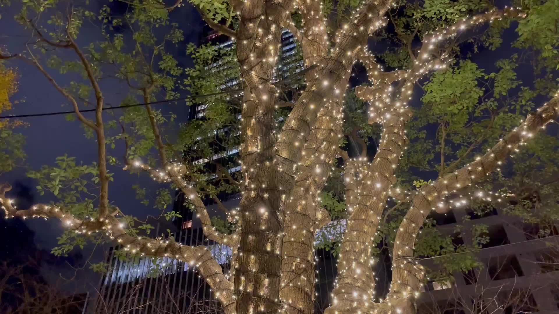 光の中の…一雫｜写メ日記｜ようこ｜鶯谷 人妻デリヘル 人妻花かんざし