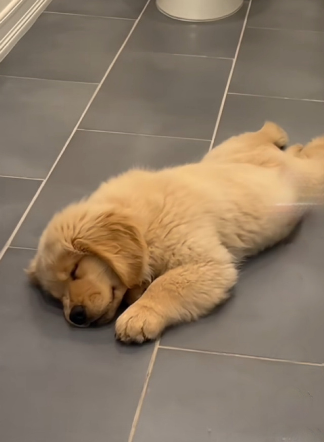 小さな命の幸せに触れて｜写メ日記｜ようこ｜鶯谷 人妻デリヘル 人妻花かんざし