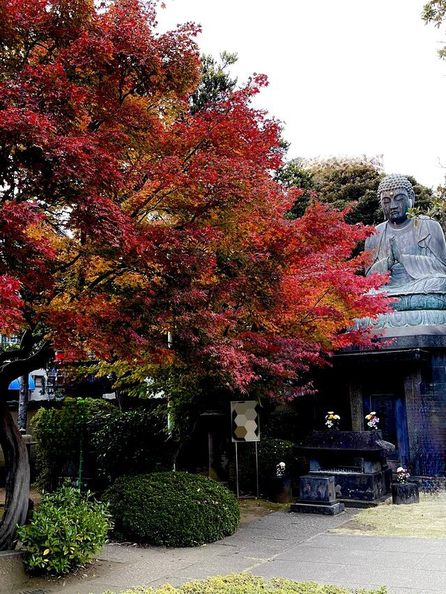 秋色に染まる気持｜写メ日記｜ようこ｜鶯谷 人妻デリヘル 人妻花かんざし