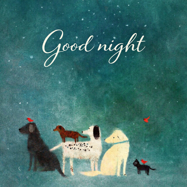 今日も楽しませてもらいました｜写メ日記｜ようこ｜鶯谷 人妻デリヘル 人妻花かんざし