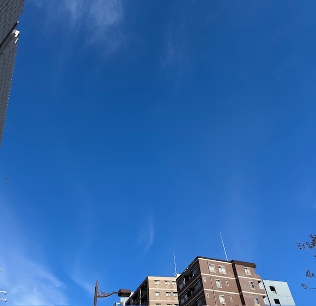 おはようございます