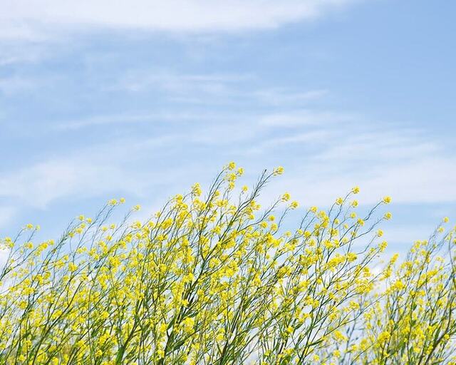 おはようございます