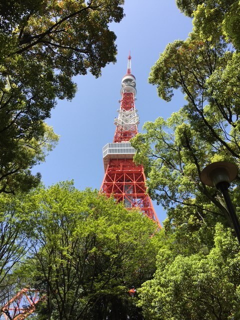 おはようございます｜写メ日記｜つばき｜鶯谷 人妻デリヘル 人妻花かんざし