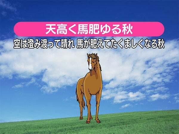 さわやか晴天｜写メ日記｜つばき｜鶯谷 人妻デリヘル 人妻花かんざし