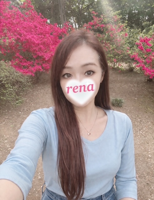 🌸 春のやさしい陽気に包まれて 🌸