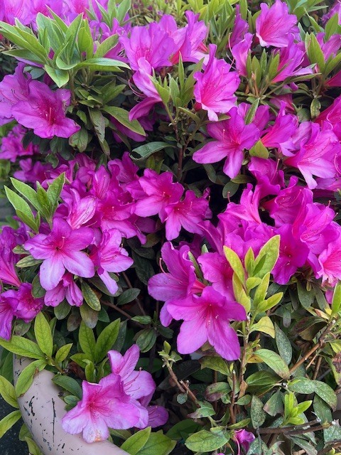 口コミありがとうございます💖