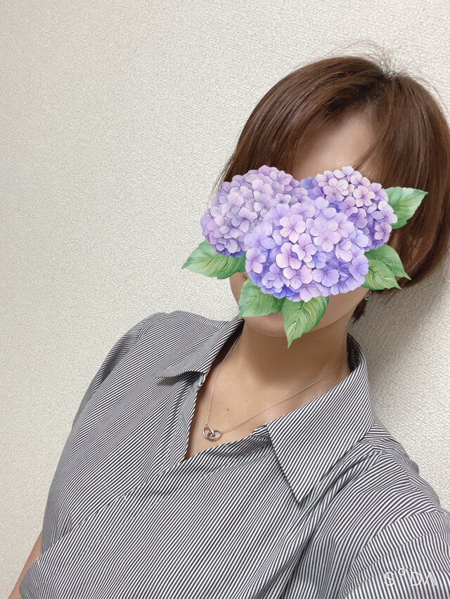 本日のお礼✨