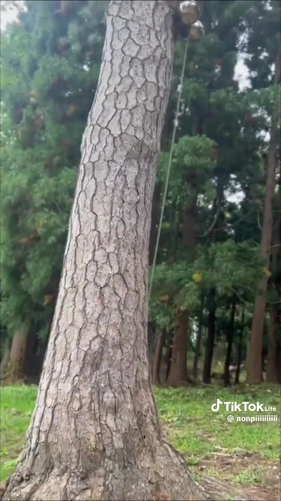 2026☆*:.｡. o(≧▽≦)o .｡.:*☆｜写メ日記｜まりか｜鶯谷 人妻デリヘル 人妻花かんざし