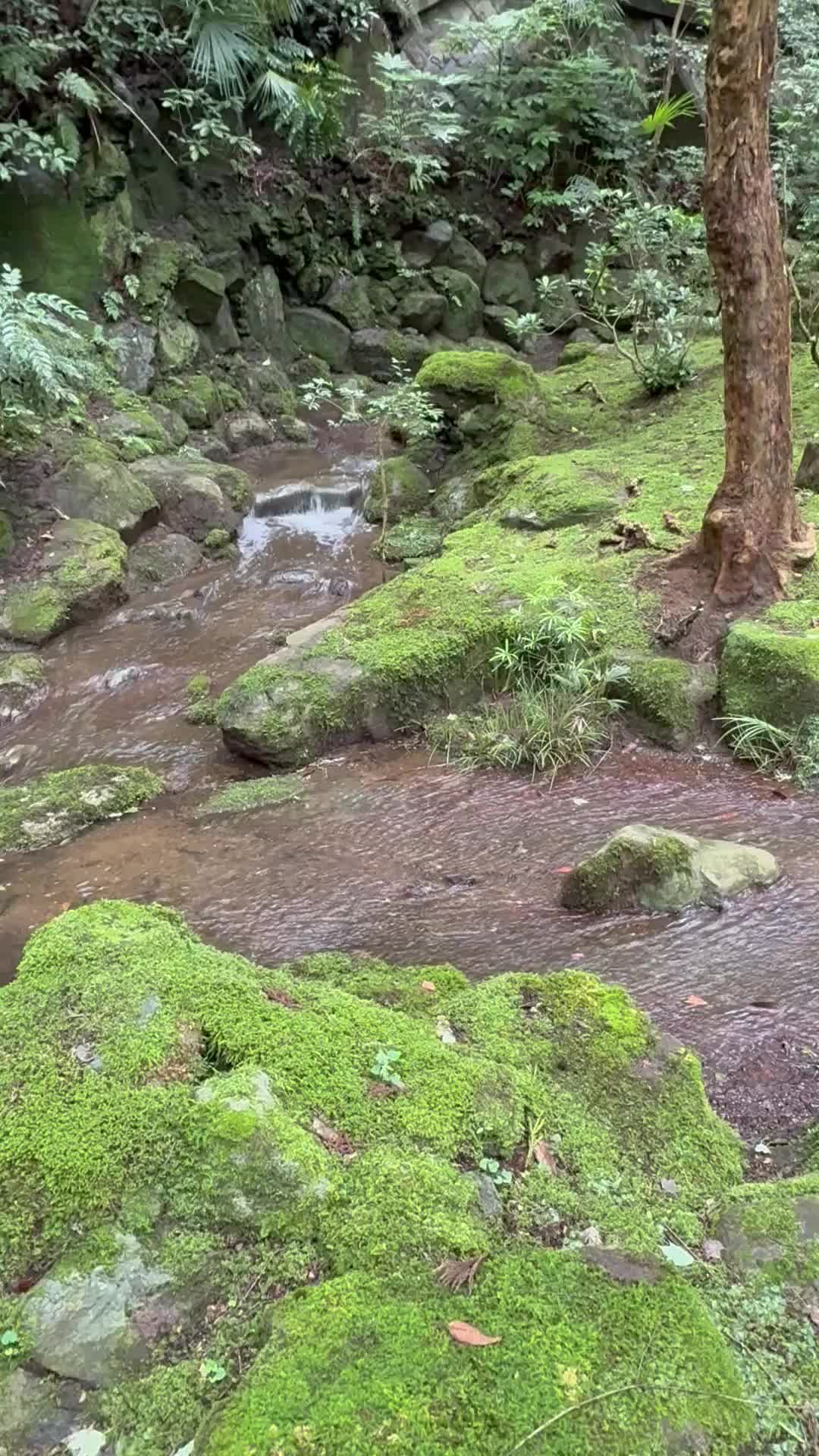 ミストサウナかしらん？｜写メ日記｜まりか｜鶯谷 人妻デリヘル 人妻花かんざし