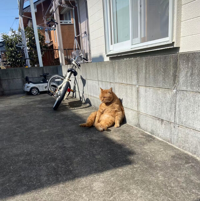 シャンプーかえたら…(ﾟ∀ﾟ)