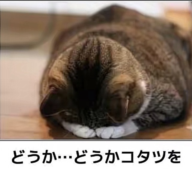 昨日とは打って変わってだわ！｜写メ日記｜まりか｜鶯谷 人妻デリヘル 人妻花かんざし