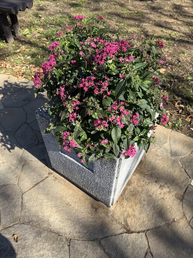 今週は、お休み多めだわ！｜写メ日記｜まりか｜鶯谷 人妻デリヘル 人妻花かんざし