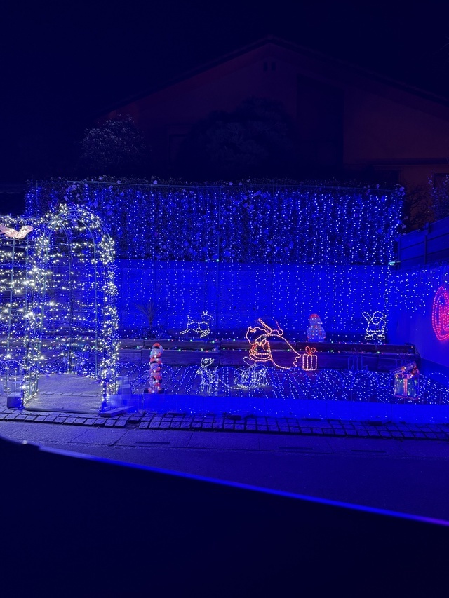 クリスマスイヴだわ(ﾟ∀ﾟ)☆