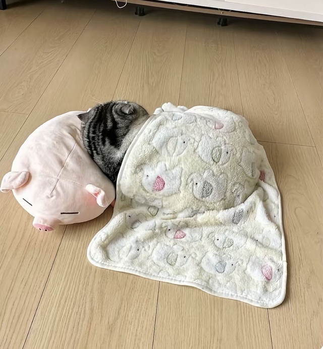 息が上がるわ！｜写メ日記｜まりか｜鶯谷 人妻デリヘル 人妻花かんざし